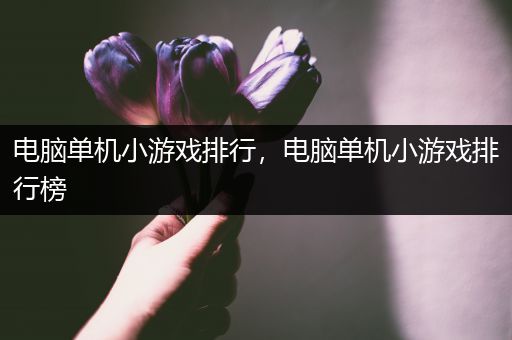 电脑单机小游戏排行，电脑单机小游戏排行榜