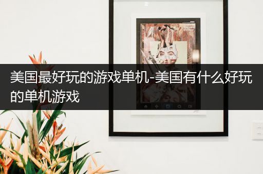 美国最好玩的游戏单机-美国有什么好玩的单机游戏