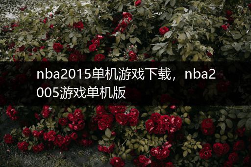 nba2015单机游戏下载，nba2005游戏单机版