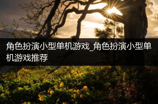 角色扮演小型单机游戏_角色扮演小型单机游戏推荐