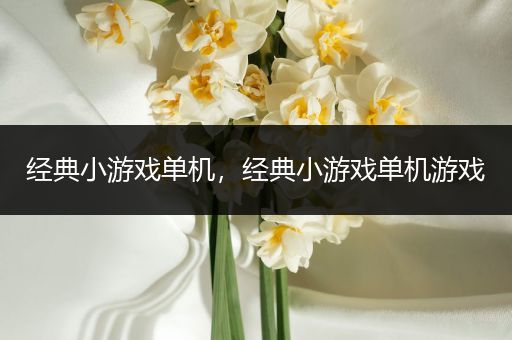 经典小游戏单机，经典小游戏单机游戏