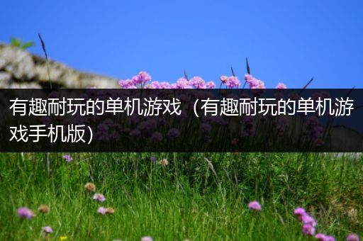 有趣耐玩的单机游戏（有趣耐玩的单机游戏手机版）