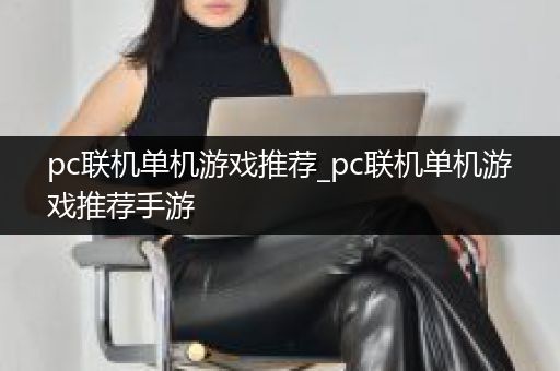 pc联机单机游戏推荐_pc联机单机游戏推荐手游