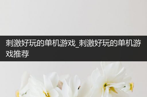 刺激好玩的单机游戏_刺激好玩的单机游戏推荐