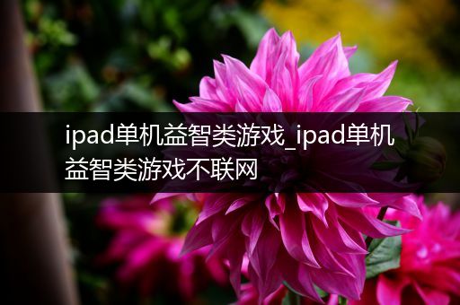 ipad单机益智类游戏_ipad单机益智类游戏不联网
