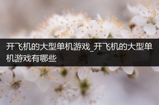 开飞机的大型单机游戏_开飞机的大型单机游戏有哪些