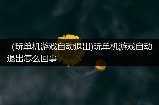 （玩单机游戏自动退出)玩单机游戏自动退出怎么回事