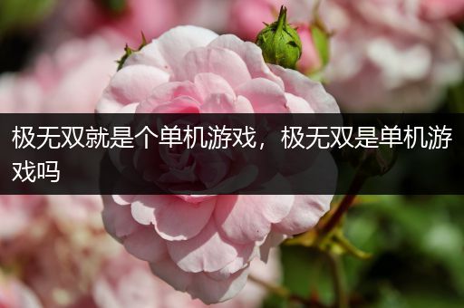 极无双就是个单机游戏，极无双是单机游戏吗
