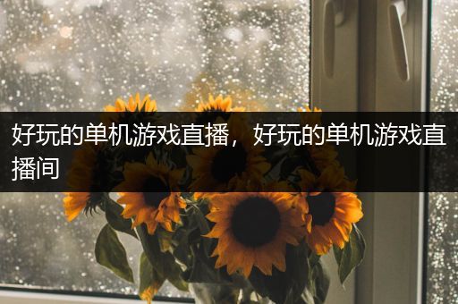 好玩的单机游戏直播，好玩的单机游戏直播间