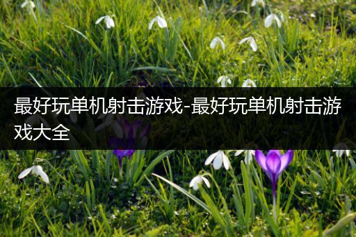 最好玩单机射击游戏-最好玩单机射击游戏大全