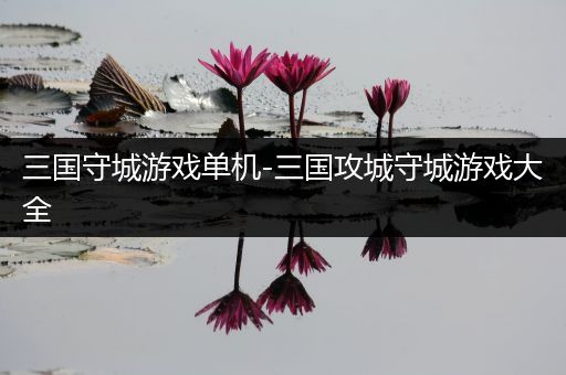 三国守城游戏单机-三国攻城守城游戏大全