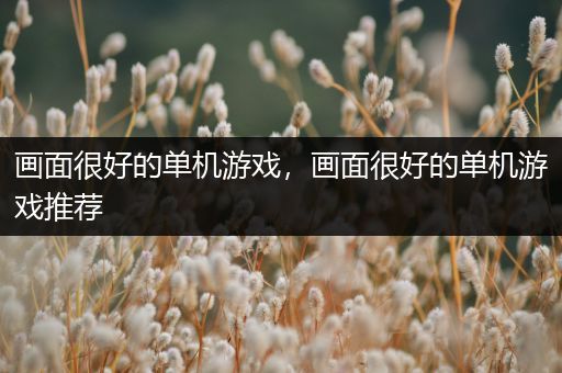 画面很好的单机游戏，画面很好的单机游戏推荐