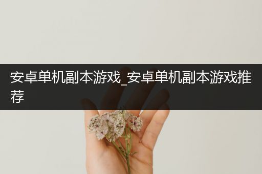 安卓单机副本游戏_安卓单机副本游戏推荐