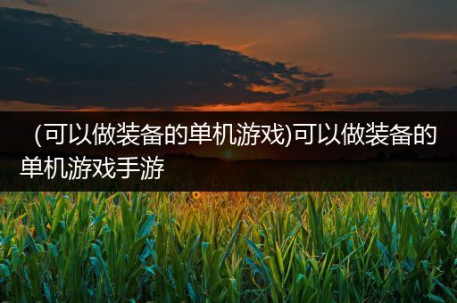 （可以做装备的单机游戏)可以做装备的单机游戏手游