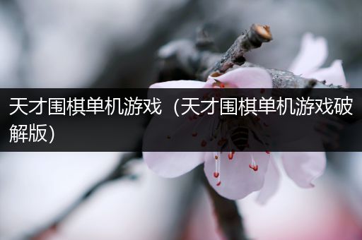 天才围棋单机游戏（天才围棋单机游戏破解版）