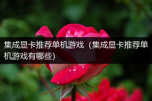 集成显卡推荐单机游戏（集成显卡推荐单机游戏有哪些）