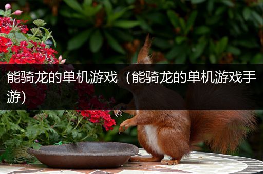 能骑龙的单机游戏（能骑龙的单机游戏手游）