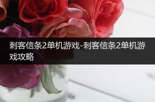 刺客信条2单机游戏-刺客信条2单机游戏攻略