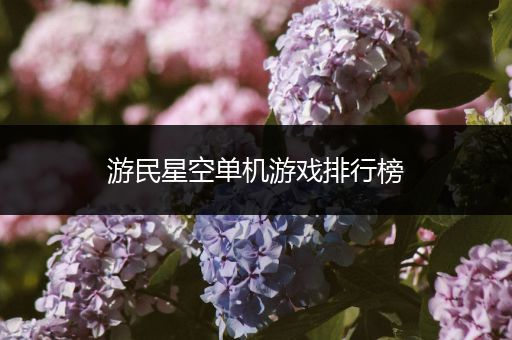 游民星空单机游戏排行榜