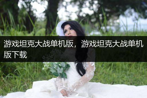 游戏坦克大战单机版，游戏坦克大战单机版下载