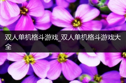 双人单机格斗游戏_双人单机格斗游戏大全