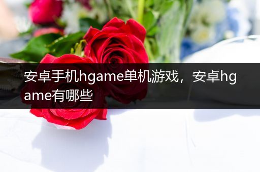 安卓手机hgame单机游戏，安卓hgame有哪些