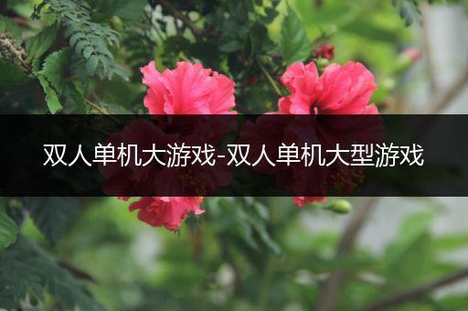 双人单机大游戏-双人单机大型游戏