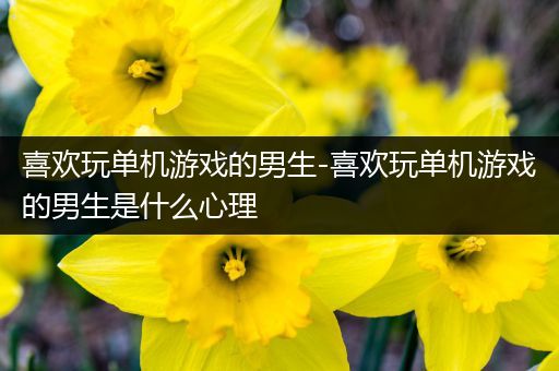 喜欢玩单机游戏的男生-喜欢玩单机游戏的男生是什么心理