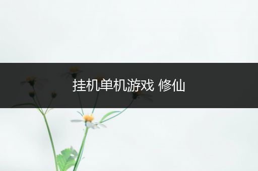 挂机单机游戏 修仙