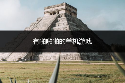 有啪啪啪的单机游戏