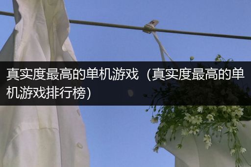 真实度最高的单机游戏（真实度最高的单机游戏排行榜）