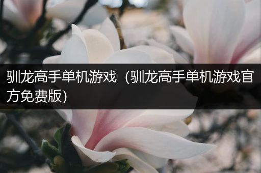 驯龙高手单机游戏（驯龙高手单机游戏官方免费版）