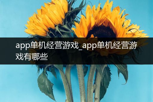 app单机经营游戏_app单机经营游戏有哪些