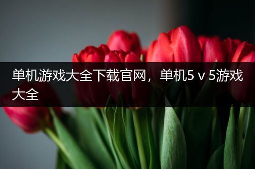 单机游戏大全下载官网，单机5ⅴ5游戏大全