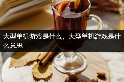 大型单机游戏是什么，大型单机游戏是什么意思