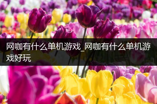 网咖有什么单机游戏_网咖有什么单机游戏好玩