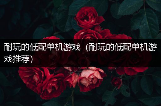 耐玩的低配单机游戏（耐玩的低配单机游戏推荐）