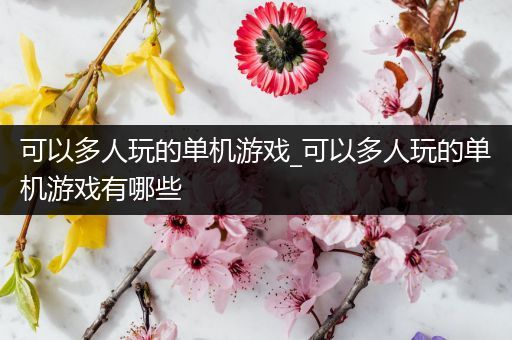 可以多人玩的单机游戏_可以多人玩的单机游戏有哪些