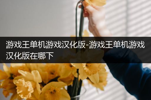 游戏王单机游戏汉化版-游戏王单机游戏汉化版在哪下