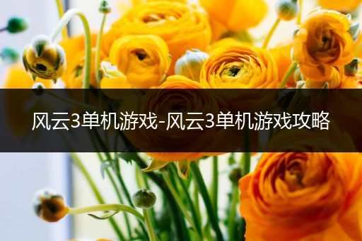 风云3单机游戏-风云3单机游戏攻略