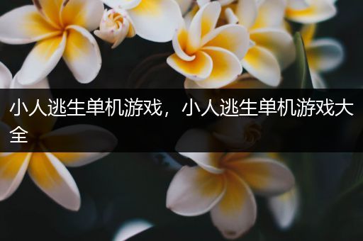 小人逃生单机游戏，小人逃生单机游戏大全