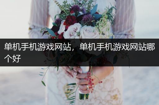 单机手机游戏网站，单机手机游戏网站哪个好