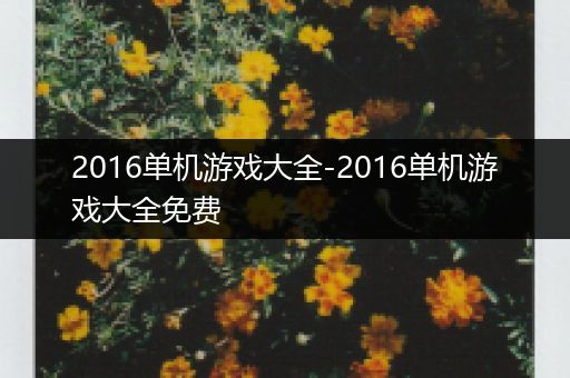 2016单机游戏大全-2016单机游戏大全免费