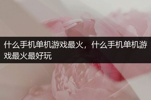 什么手机单机游戏最火，什么手机单机游戏最火最好玩
