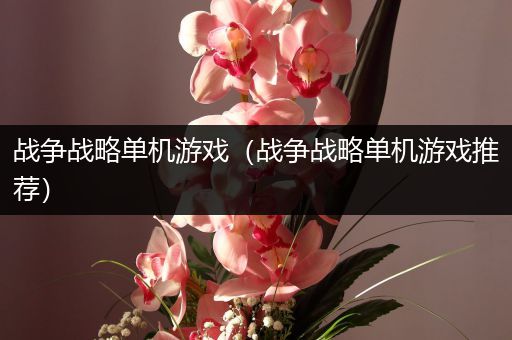 战争战略单机游戏（战争战略单机游戏推荐）