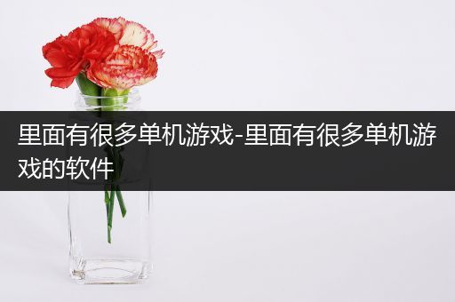 里面有很多单机游戏-里面有很多单机游戏的软件