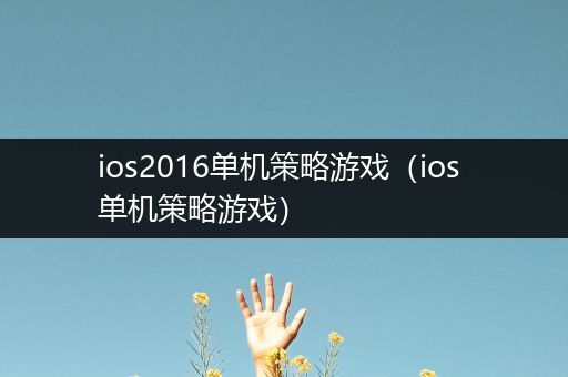 ios2016单机策略游戏（ios 单机策略游戏）