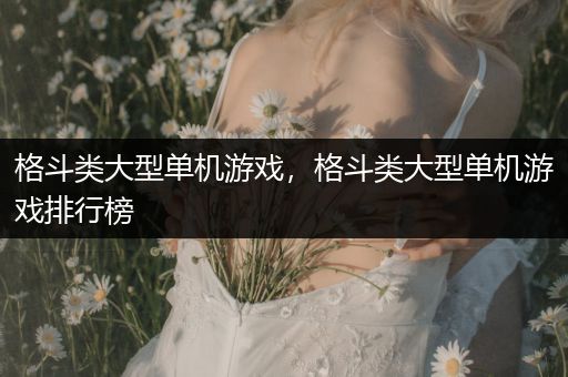 格斗类大型单机游戏，格斗类大型单机游戏排行榜