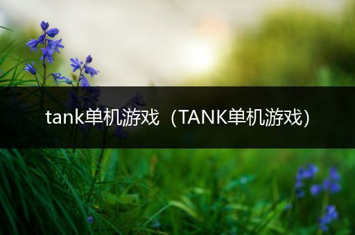 tank单机游戏（TANK单机游戏）