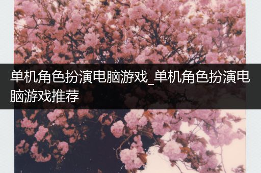 单机角色扮演电脑游戏_单机角色扮演电脑游戏推荐